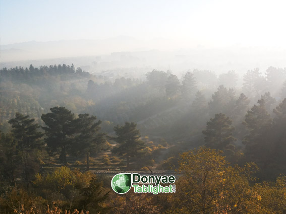 عکس نگاهی تصویری به فرهنگ، ادبیات و سلیقه بصری افغانستان از منظر تبلیغات / قسمت دوم 20