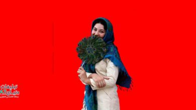 ESKANDARI در ستاره اسکندری پس از مجاز شدن حضور چهره‌ها در تبلیغات: "قرار است کالای چینی تبلیغ کنیم یا ملی؟"