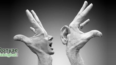 HOMUR در مد این روزها: صاحبان برندهایی که به جان هم افتادند