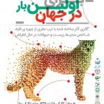 IMG_20180113_190523_353 - نقد تبلیغات