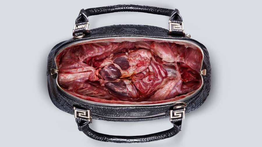 عکس کمپین خلاقانه و بیرحمانه درباره حقیقت پشت این کیف و لباس های چرم دلربا... / Ogilvy & Mather Advertising Bangkok SET_BAG_CRO_PHOTO1