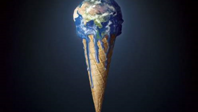 The world of creative advertising Global warming Protection of animals Envir 2014 03 24 14 31 4 در پایان نامه کارشناسی ارشد دانشگاه تهران که با همکاری مخاطبان دنیای تبلیغات به سرانجام رسید: بررسی تأثیر ابعاد چهارگانۀ مدل استالفوت و یو، بر خلاقیت آگهی­های تبلیغاتی تلویزیونی از منظر متخصصان تبلیغات در ایران