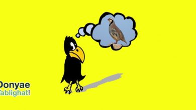 عکس ریبرندینگ؛ مهاجرت از کلاغ به کبک! kalagh در ریبرندینگ؛ مهاجرت از کلاغ به کبک!