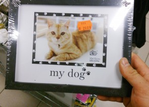 my dog