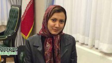 nadafi2 در دکتر سارا ندافی، مدیر اجرایی جشنواره بین المللی فیلم کوتاه پرواز شد