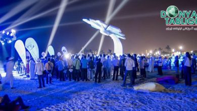 palm در نصب دومین درخت هوشمند در دبی / اینترنت - شارژر - راهنمای محلی