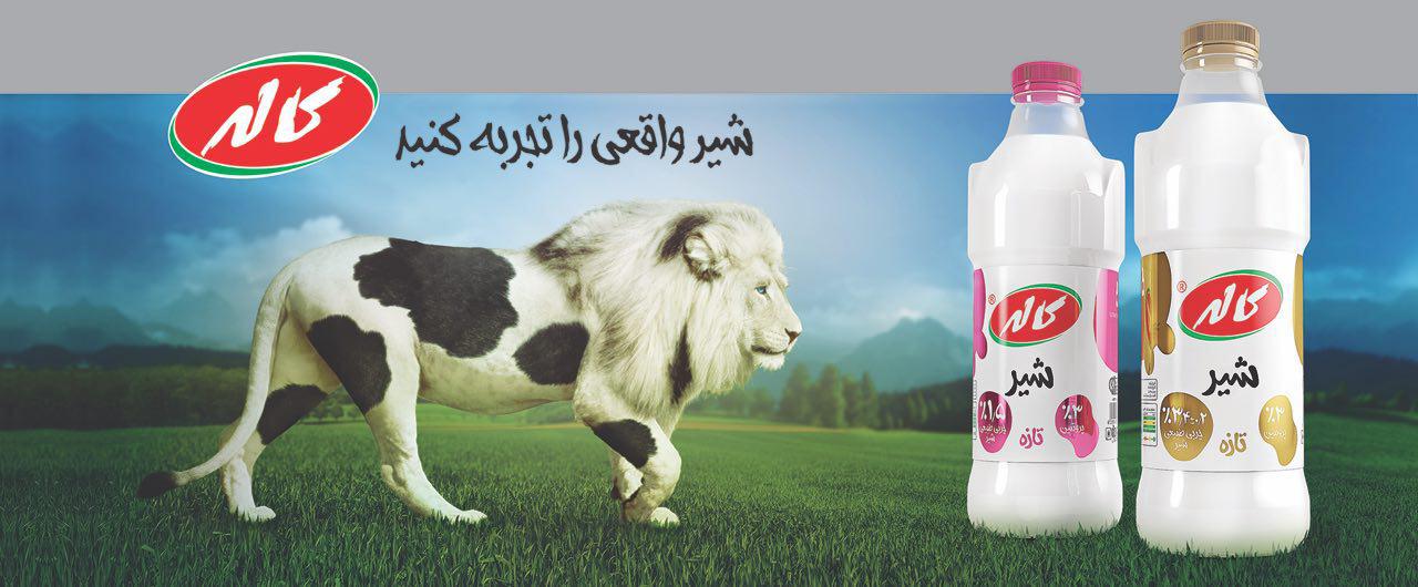 عکس جوابیه آژانس مشاور دومینو برای شائبه تشابه شعار شیر دومینو با شعار شیر کاله photo_2016-10-08_11-30-06