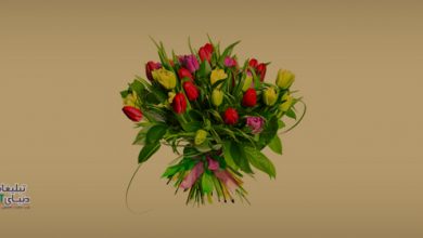 عکس دقیقا چقدر از دست شما عصبانیست؟ / تحلیل شعار تبلیغاتی جذاب و هوشمندانه یک گل فروشی platform 1 در دقیقا چقدر از دست شما عصبانیست؟ / تحلیل شعار تبلیغاتی جذاب و هوشمندانه یک گل فروشی