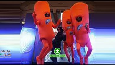 raaani در ویدیوی اولین رویداد غیرمنتظره (flash mob) در ایران