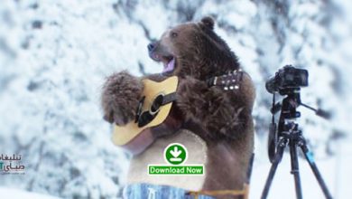 samsung در تیزر خلاقانه ماشین لباسشویی سامسونگ / خرس های قطبی در صف!