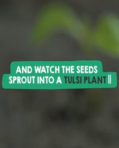 sow-dont-throw-dandad-fi
