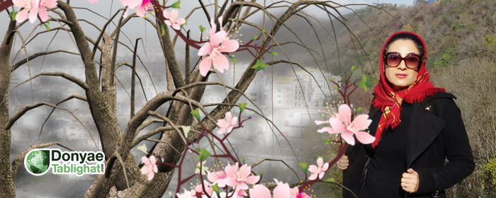 ثریا نوروزی دنیای تبلیغات در سمنوی عمه لیلا از سفره هفت سین تا... / ثریا نوروزی