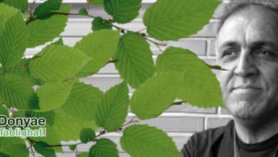 داریوش مختاری دنیای تبلیغات در بهاریه گرافیکی... / داریوش مختاری