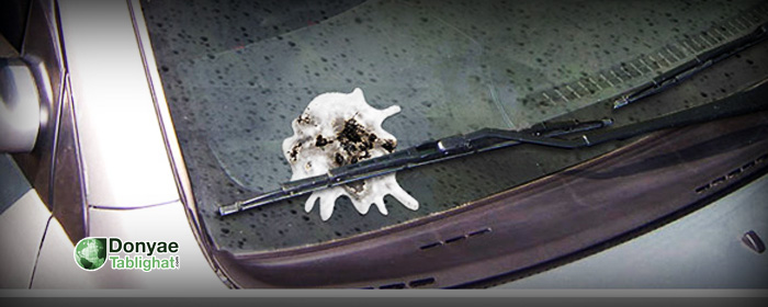 کارواش در تبلیغ چریکی خلاقانه کارواش